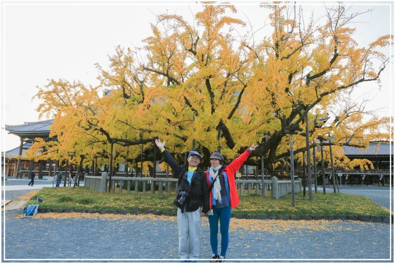 20151205DA西本願寺082-1