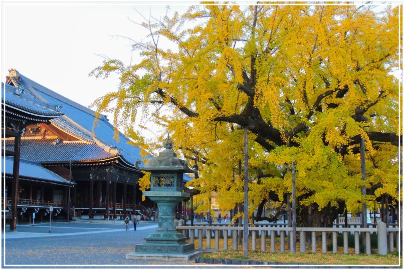 20151205DA西本願寺083-1