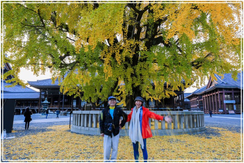 20151205DA西本願寺087-1