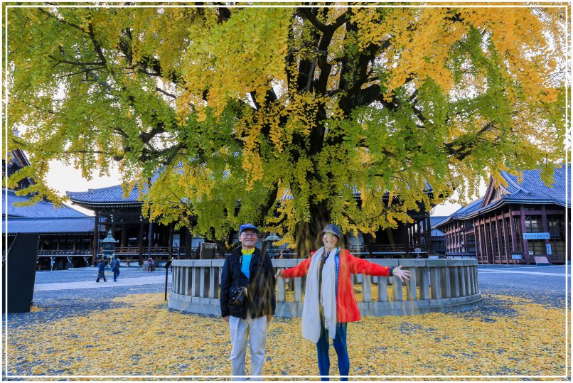 20151205DA西本願寺092-1