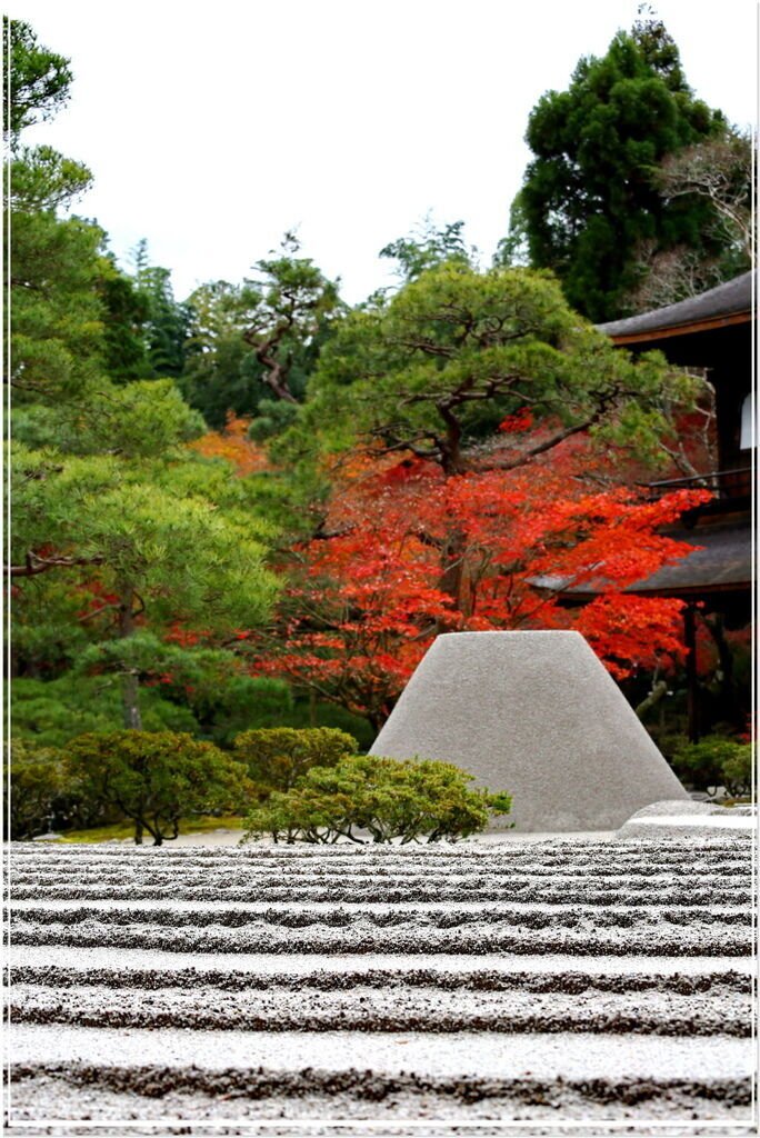 20151206BA銀閣寺051