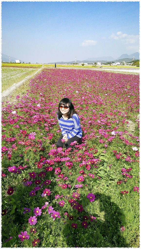 20150213E 池上花海029.jpg