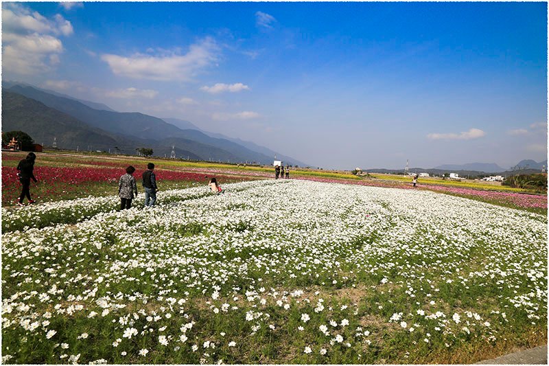 20150213E 池上花海060.jpg