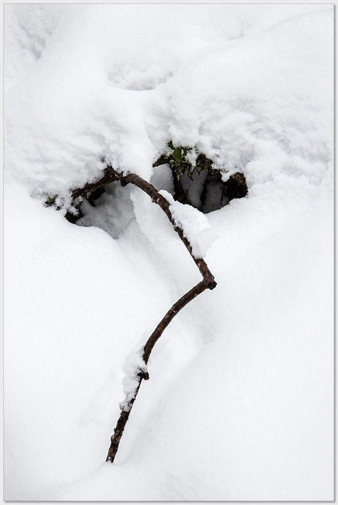 20180207椏口追雪125_1