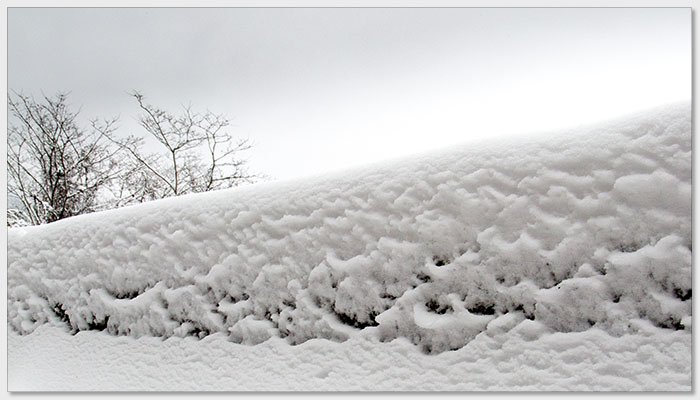 20180207椏口追雪246_1