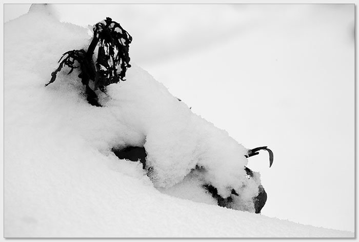 20180207椏口追雪506