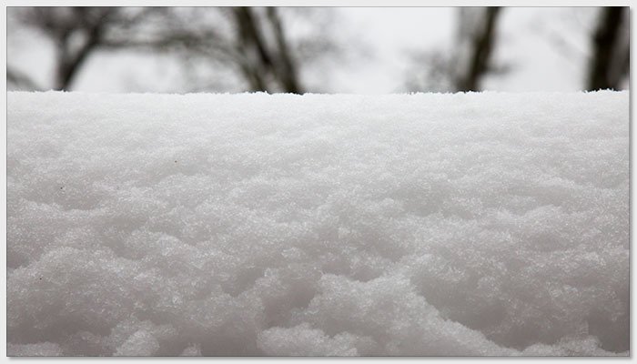 20180207椏口追雪885