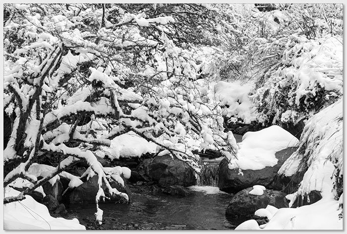 20180207椏口追雪508_1