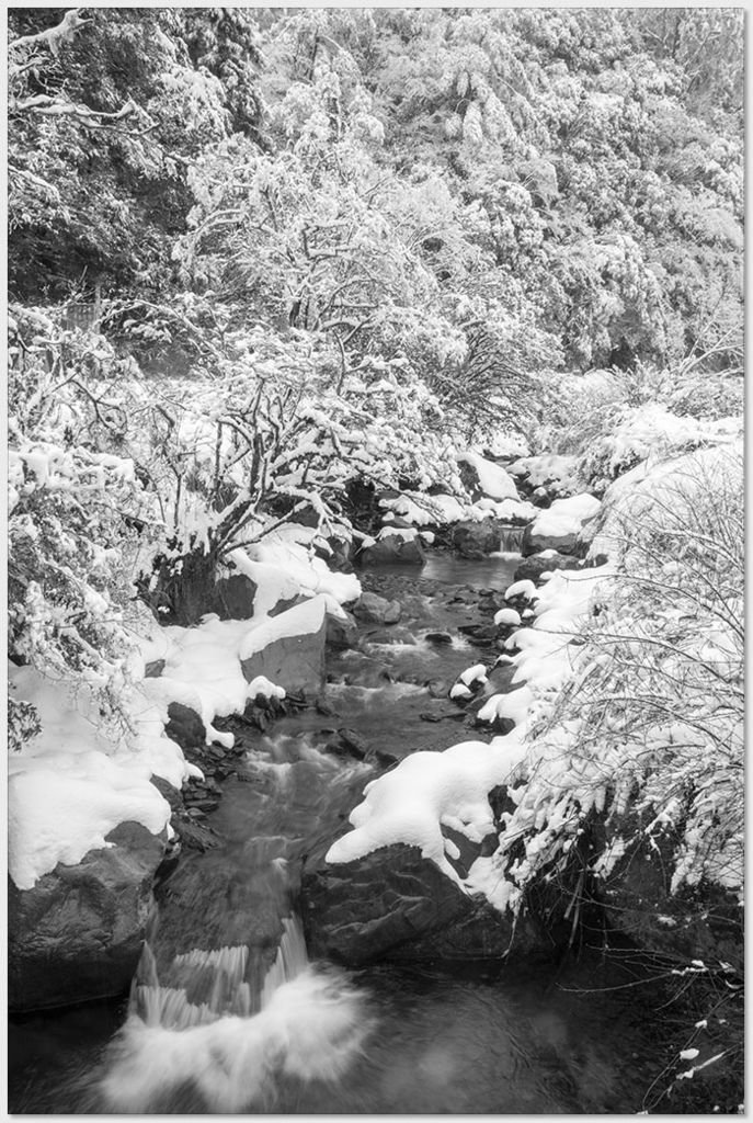 20180207椏口追雪572