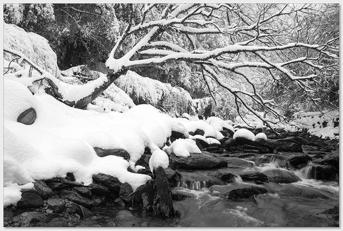 20180207椏口追雪677_1