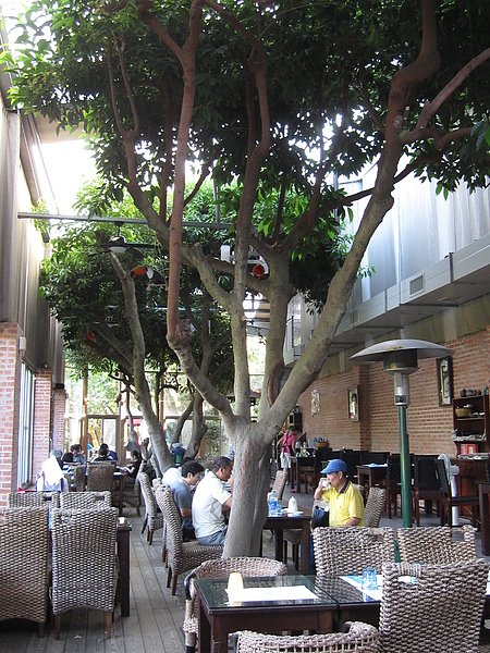 老爸的後花園--20100808 035.JPG