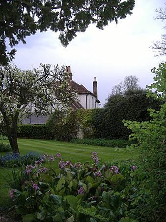 Field Near the Church