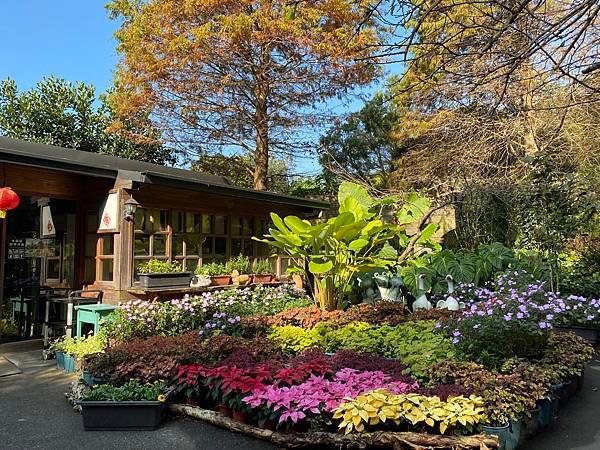 「卓也小屋」餐飲，為了一隻貓頭鷹買下一座山，在山裡吃一頓蔬食