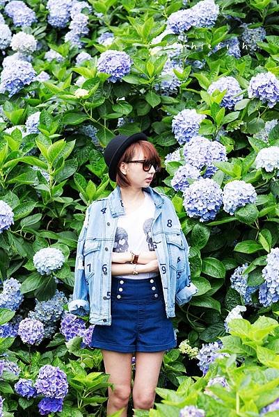 by lightroom-62.jpg