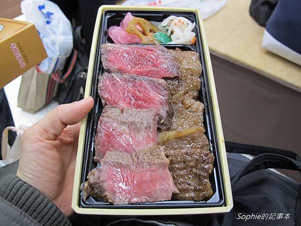 2017/1/10~1/19 日本東京鐵腿十日遊 行程簡介