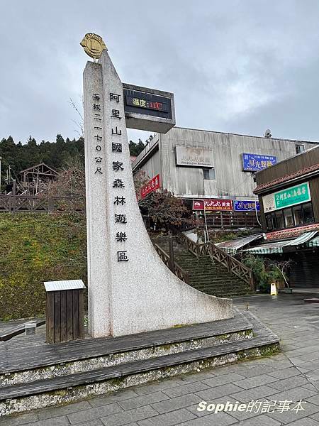 [2023阿里山冬季三日旅交通篇]前往阿里山大眾運輸方式/台