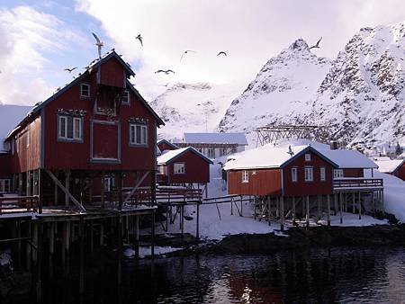 R0024274.JPG