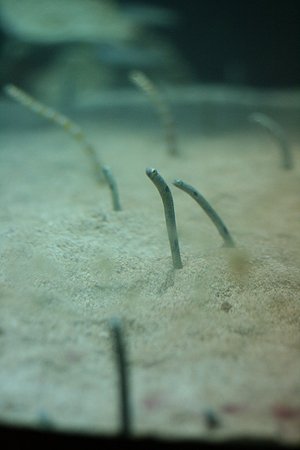 20100422IMG_0265.jpg