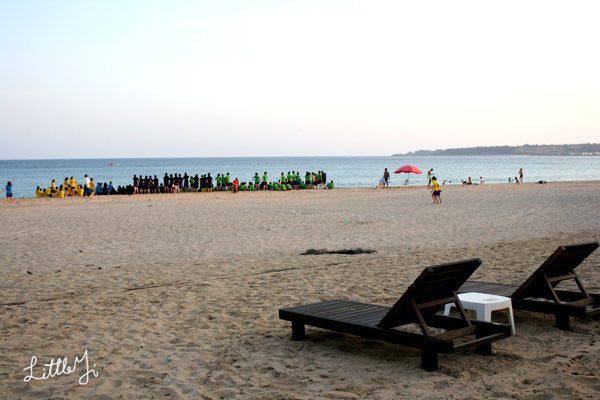 20100422IMG_0105.jpg