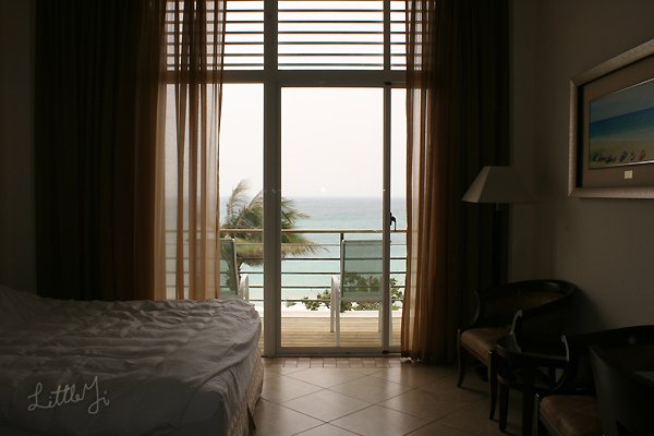 20100422IMG_0394.jpg