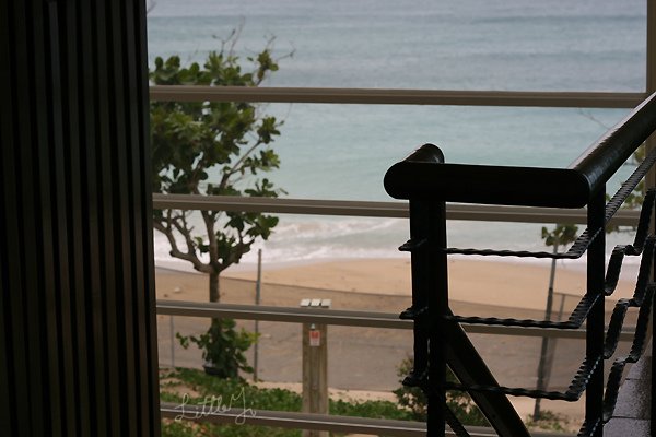 20100422IMG_0421.jpg