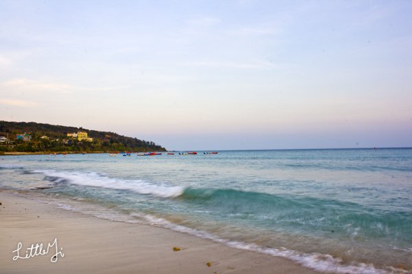 20100422IMG_0126.jpg