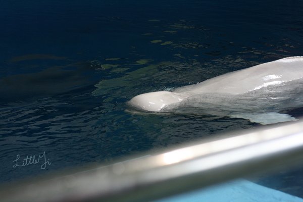 20100422IMG_0300.jpg