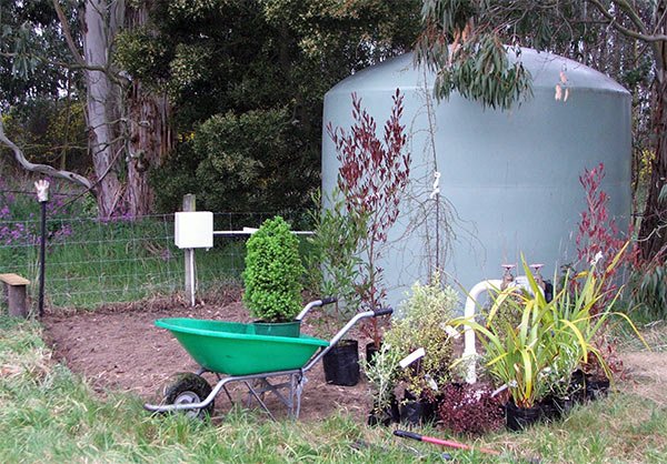 water-tank-plants.jpg