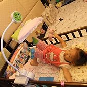 DSCF6449.JPG