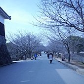 P1020829.JPG