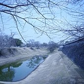 P1020831.JPG