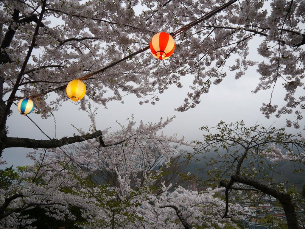 P1050492