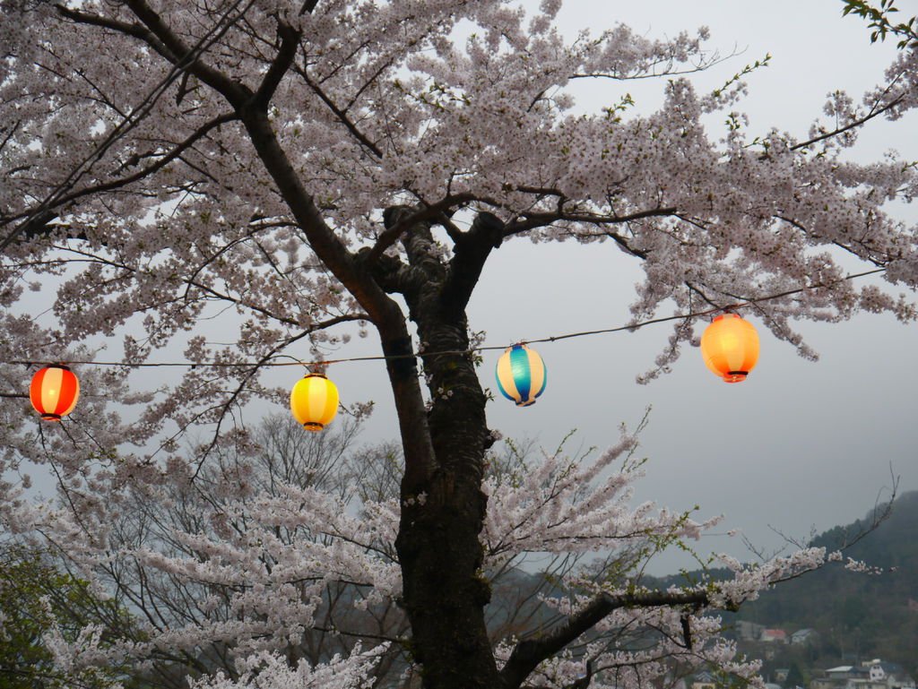 P1050513