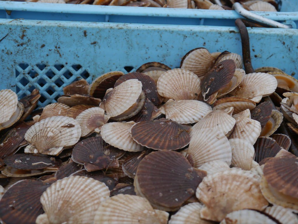 P1070060