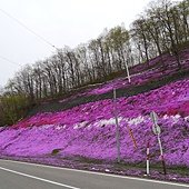 P1070213