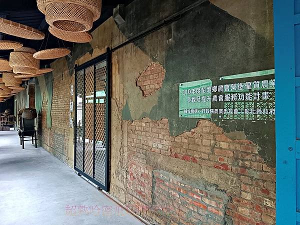 彰化景點介紹 茉莉花壇夢想館|免費親子景點|伴手禮結合花香下
