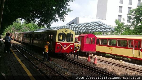 阿里山森林遊樂園區，內小火車照常營運，阿里山車站 祝山車站 沼平車站 神木車站