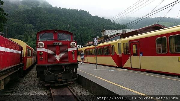 奮起湖車站，前往阿里山車站，轉乘 公車 計程車 預約包車 計程車單程收費1000