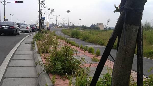 IMAG0887