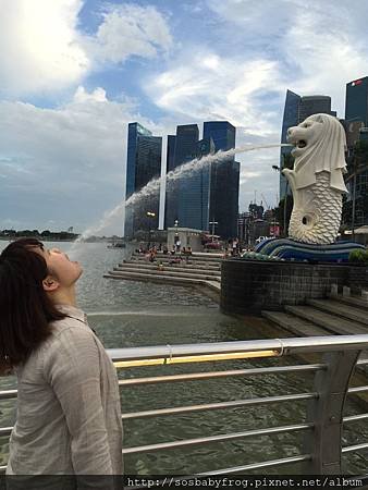 IMG_0294.JPG