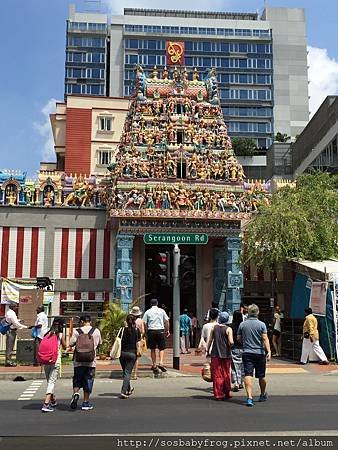 IMG_0981.JPG