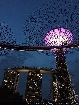 IMG_1187.JPG