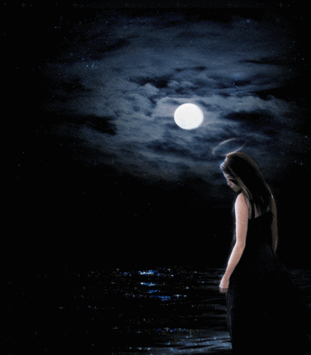 12179613752119t.gif