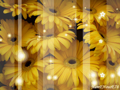 4a84aeac451df09a76da5000.gif