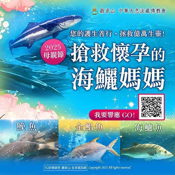 參加放生活動的好處？2025放生活動｜觀音山保育放流