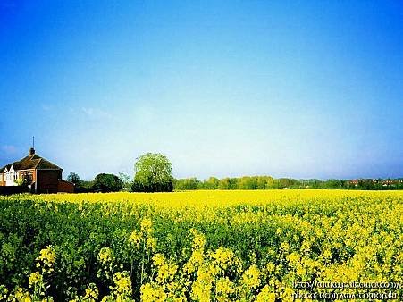 England_Travel_00499_63