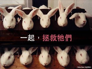 【動動手指救動物，我們支持零殘酷！】