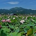 DSC_1980.JPG