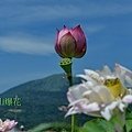 DSC_1998.JPG