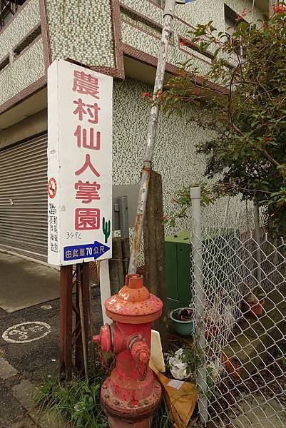 DSC00710.JPG